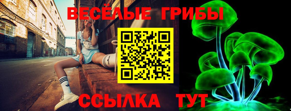 Галлюциногенные грибы Cubensis Нефтеюганск