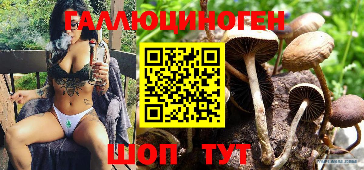 Галлюциногенные грибы мухоморы  Вход с VPN  Псилоцибиновые грибы Psilocybe  Нефтеюганск 